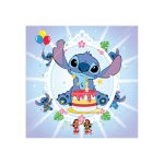 بنر تم استیچ